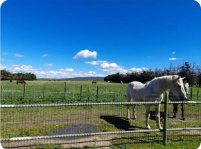 Studio entre Alpilles et Camargue